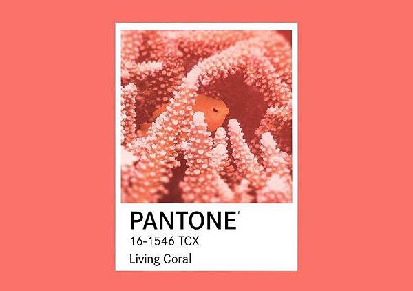 Pantone-Living-Coral-2019.jpg Pantone-Living-Coral-2019.jpg