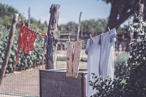 clothesline-2556058_1280.jpeg