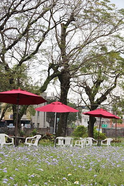 習藝所利用廣闊的土地設立多元實習職場