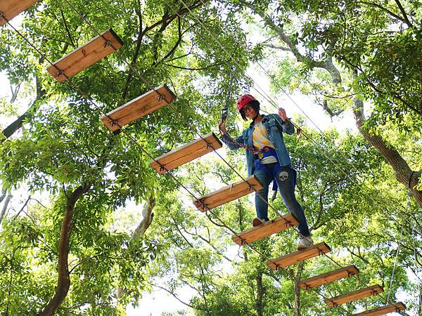 學員在樹林冒險體驗活動中挑戰個人目標