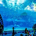 美之海水族館405.jpg