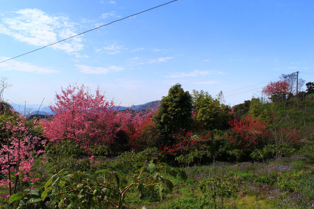 IMG_7114 IMG_7114