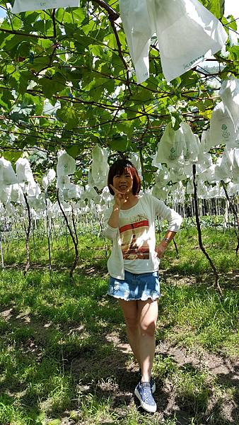 20160601_141845 20160601_141845
