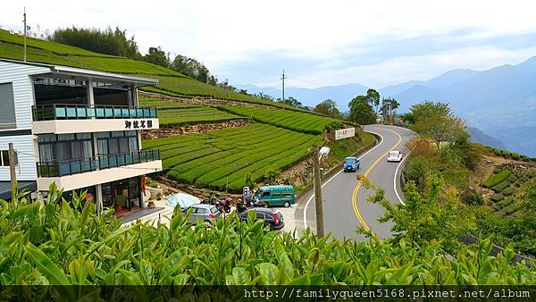 御統茗園 御統茗園