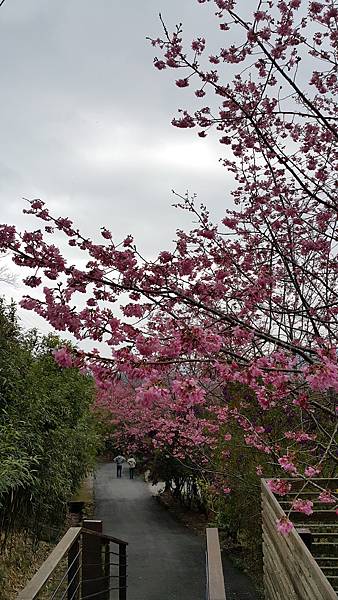 20170310_140711.jpg 20170310_140711.jpg