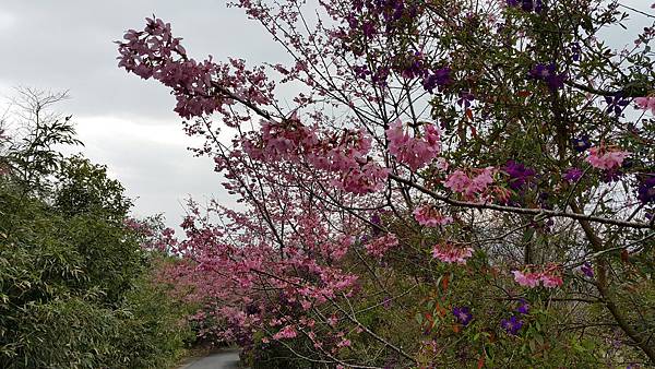20170310_140836.jpg 20170310_140836.jpg