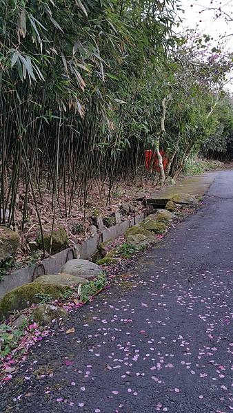 20170310_140908.jpg 20170310_140908.jpg