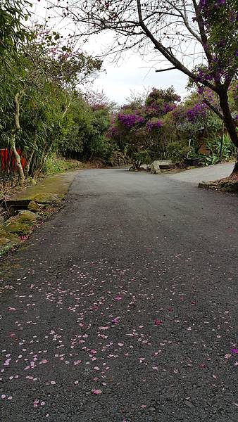 20170310_140914.jpg 20170310_140914.jpg