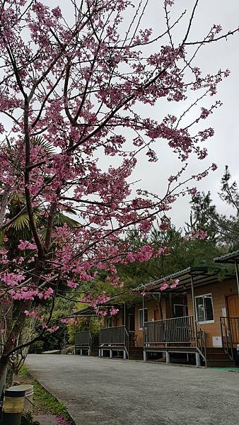 20170310_141055.jpg 20170310_141055.jpg