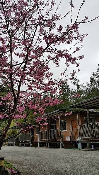 20170310_141105.jpg 20170310_141105.jpg
