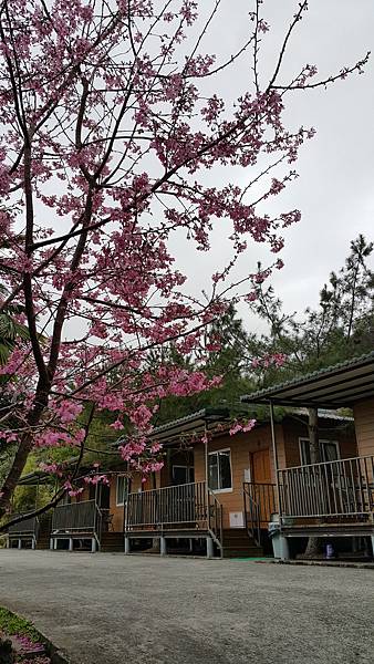20170310_141108.jpg 20170310_141108.jpg