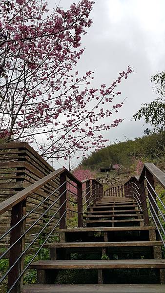 20170310_141438.jpg 20170310_141438.jpg