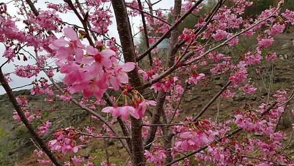 20170310_141638.jpg 20170310_141638.jpg
