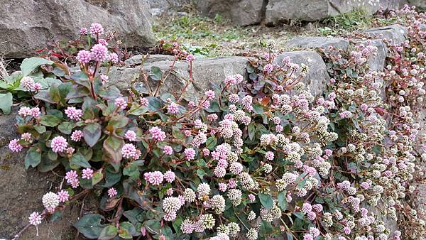 20170310_142025.jpg 20170310_142025.jpg