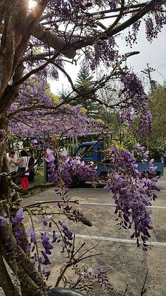 20170322_154613.jpg 20170322_154613.jpg