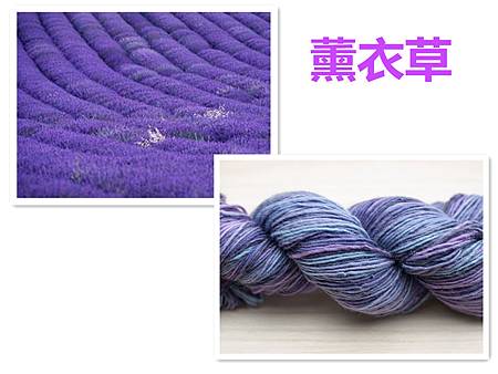 薰衣草.jpg 薰衣草.jpg