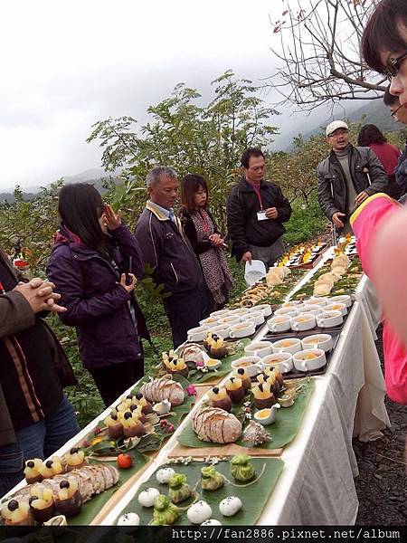 宜蘭員山花果山野趣