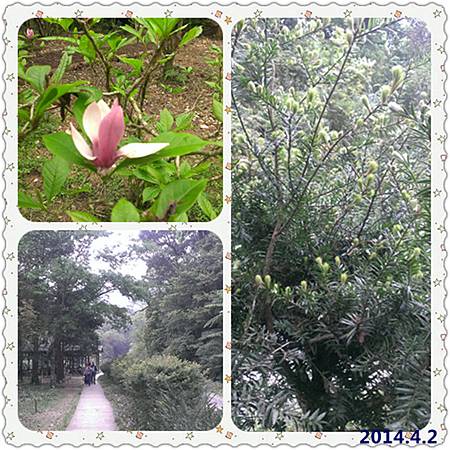 宜蘭福山植物園