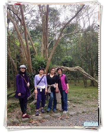 宜蘭福山植物園