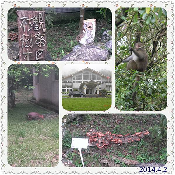 宜蘭福山植物園