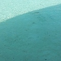 C360_2013-01-12-12-44-41.jpg