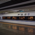 和諧號 – 廣珠城軌, 武廣高鐵