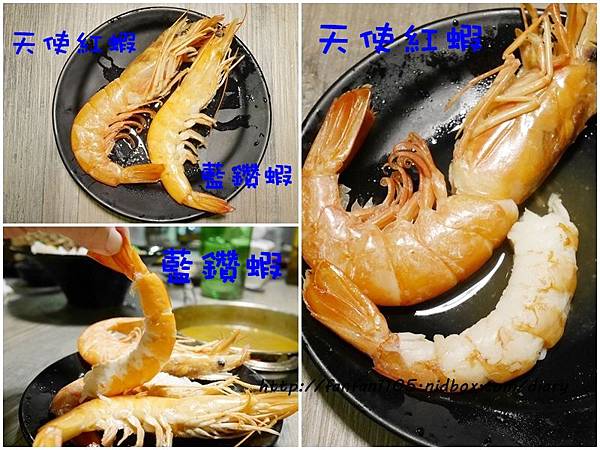 【台北麻辣鍋】不老麻鍋物 麻辣鍋 咖哩鍋 必點鮮嫩不老雞 (1).jpg