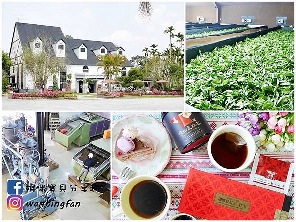 【南投埔里景點】廖鄉長紅茶故事館 免費參觀 IG打卡熱點 日月潭紅茶 魚池紅茶 台茶18號 紅玉紅茶 紅玉推薦 紅茶推薦 南投伴手禮