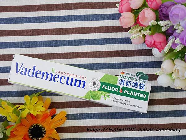 德國製造【Vademecum】草本清新健齒牙膏 口氣溫和清新 含氟牙膏 有效健齒 (1).JPG