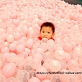 【新光南西】建築樂園-悠遊島 動物狂季 #室內親子樂園 #氣墊 #親子 #積木 (33).JPG