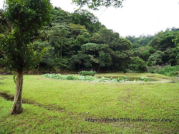 【土城景點】宏國德霖科技大學 #交通 #周邊景點 #餐飲 #海山站 (30).JPG