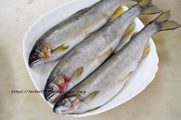 宅配海鮮【金海昌水產】多種豐富水產箱 烹調、燒烤、下酒菜一次滿足 (9).JPG