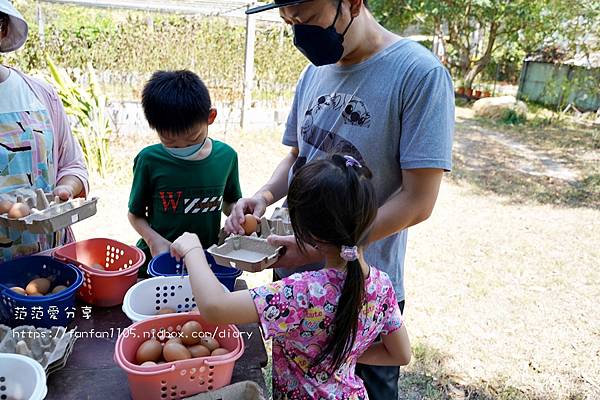 【宜蘭景點】日和3號農場｜豐富的食農教育 全家大小都適合｜撿雞蛋｜抱雞｜DIY鬆餅 #宜蘭親子景點 (10).JPG