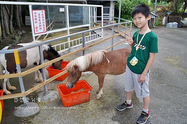 【宜蘭美食】皇家花園餐廳-粵式脆皮烤雞 #宜蘭親子餐廳 有可愛的迷你馬陪吃飯 還可餵魚 是親子吃飯的好去處 (1).JPG