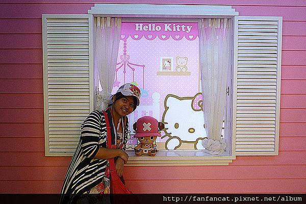 哈囉凱蒂櫥窗