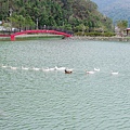 P1090714.jpg