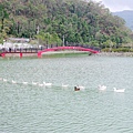 P1090716.jpg