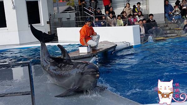 12696639_10153970019027952_314238519_o