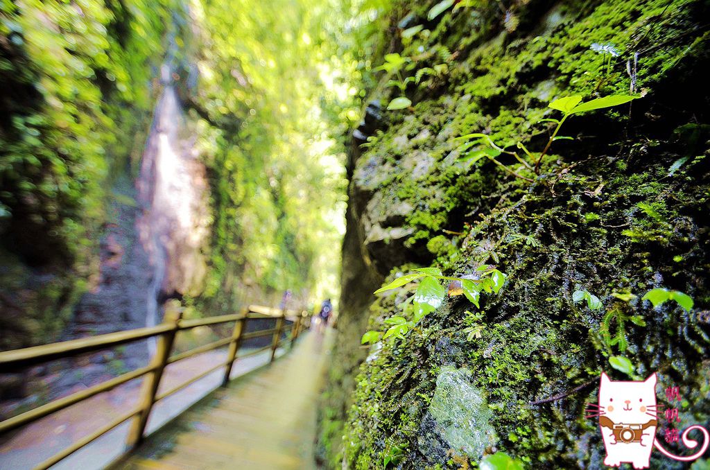 _DSC1416.jpg
