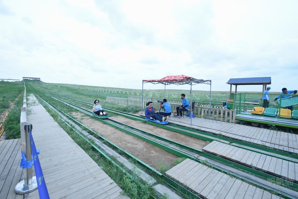 DSC_9663_副本 DSC_9663_副本