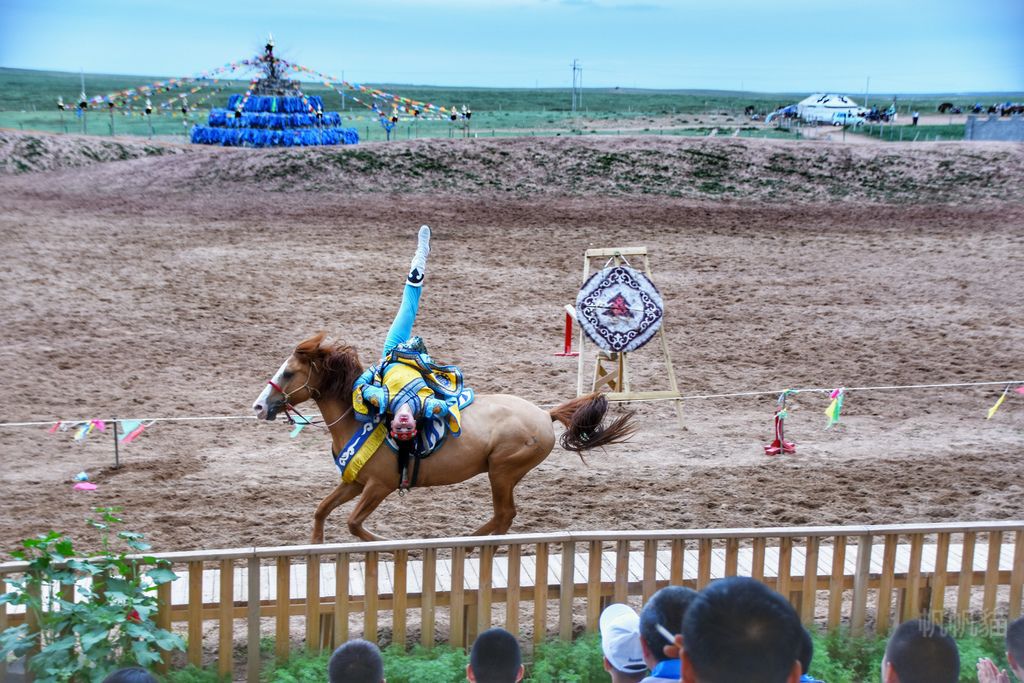 DSC_0384-02 DSC_0384-02