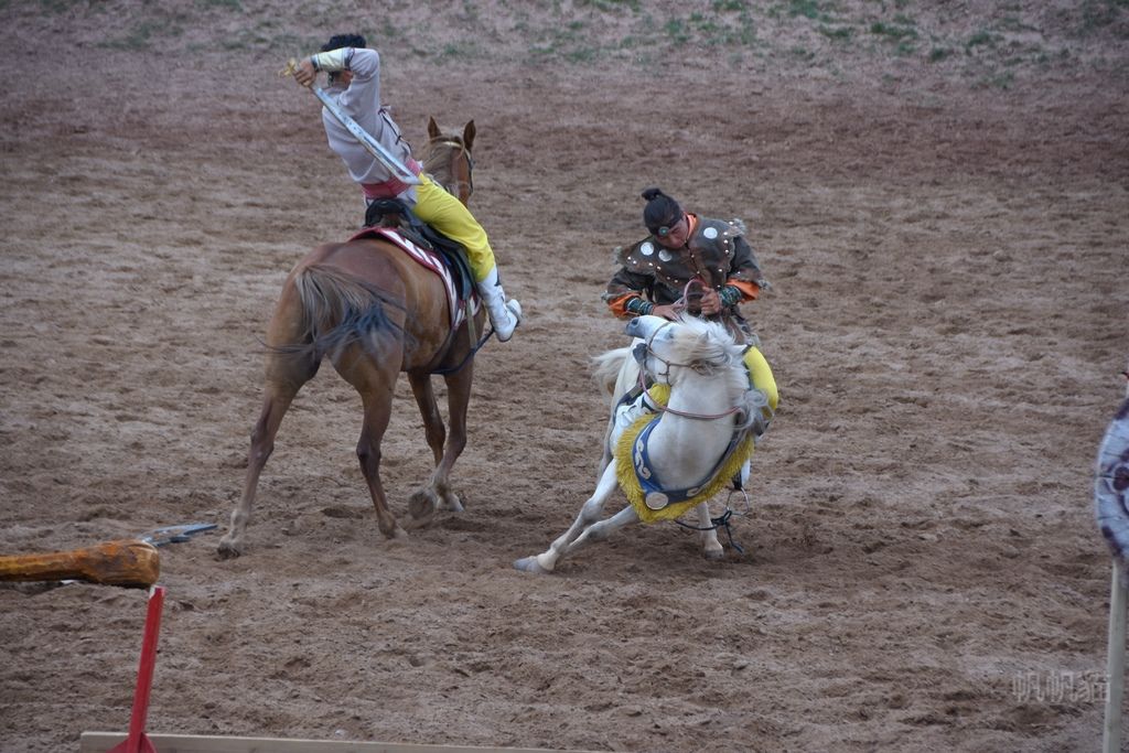 DSC_0712_副本 DSC_0712_副本