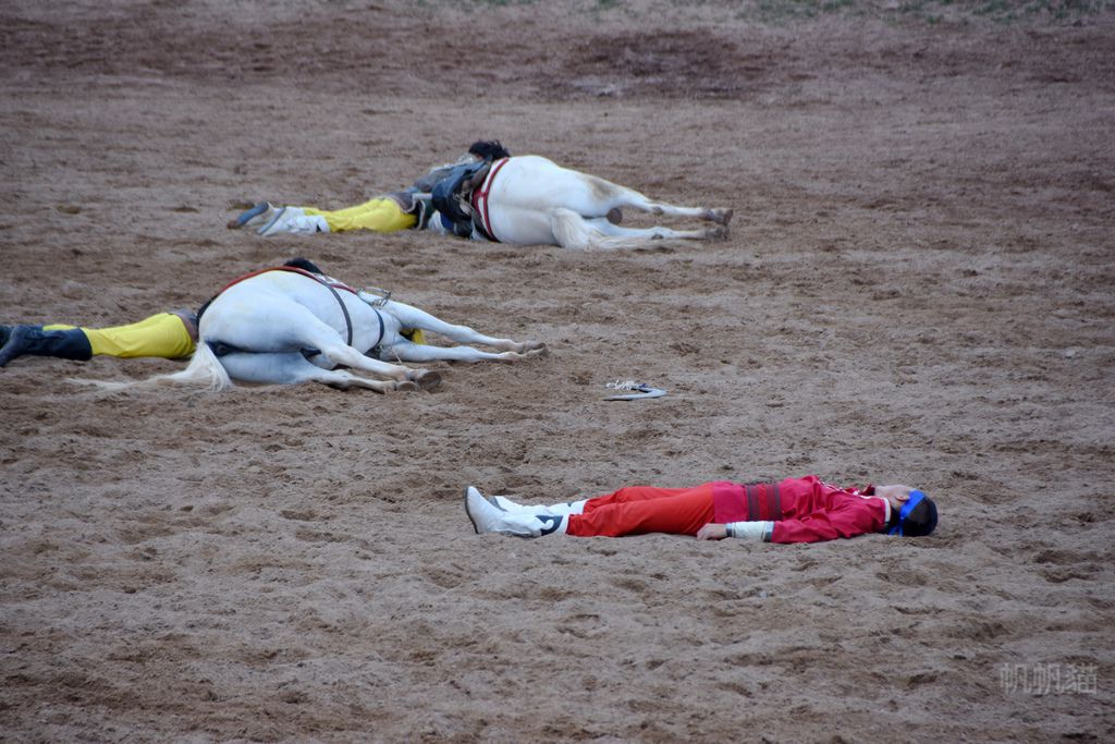DSC_0731_副本 DSC_0731_副本