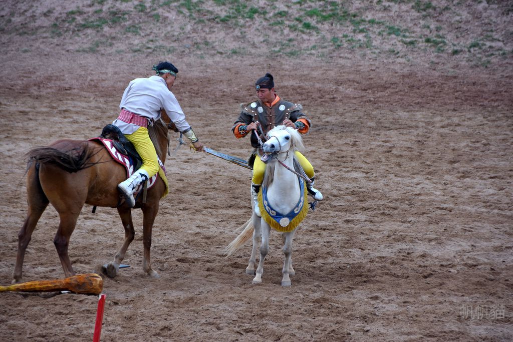 DSC_0708_副本 DSC_0708_副本