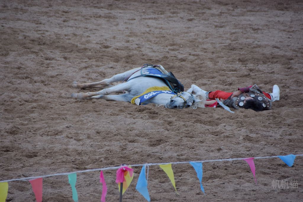 DSC_0749_副本 DSC_0749_副本