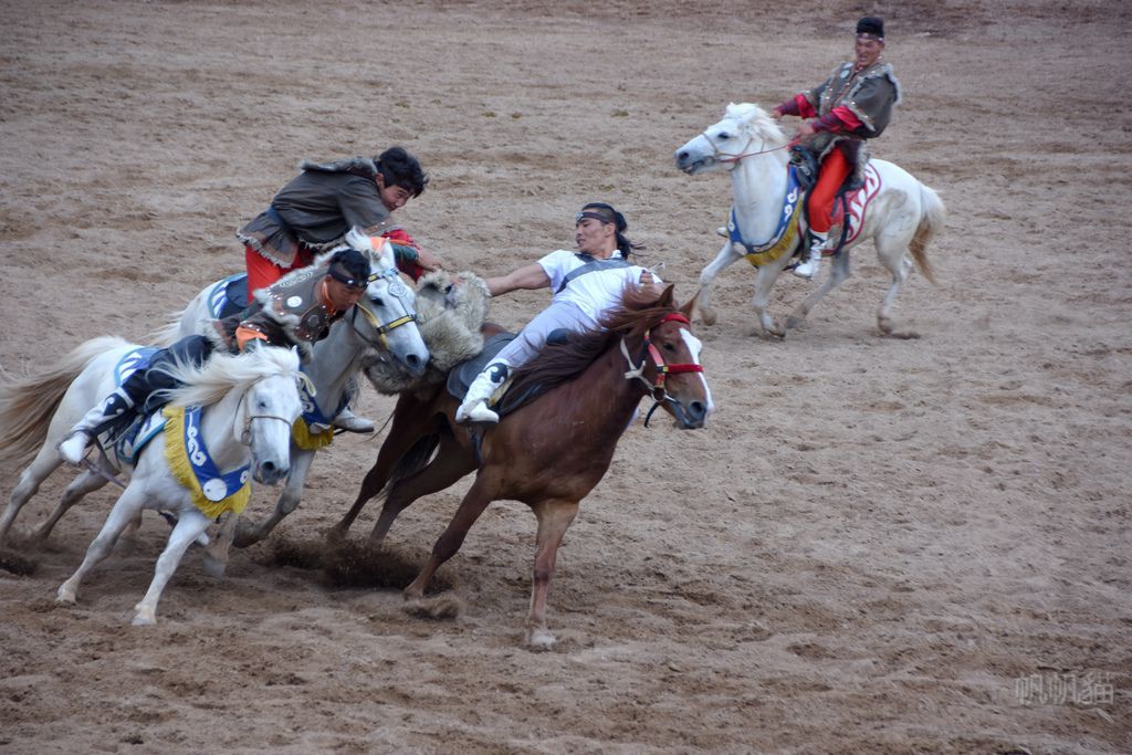 DSC_0652_副本 DSC_0652_副本
