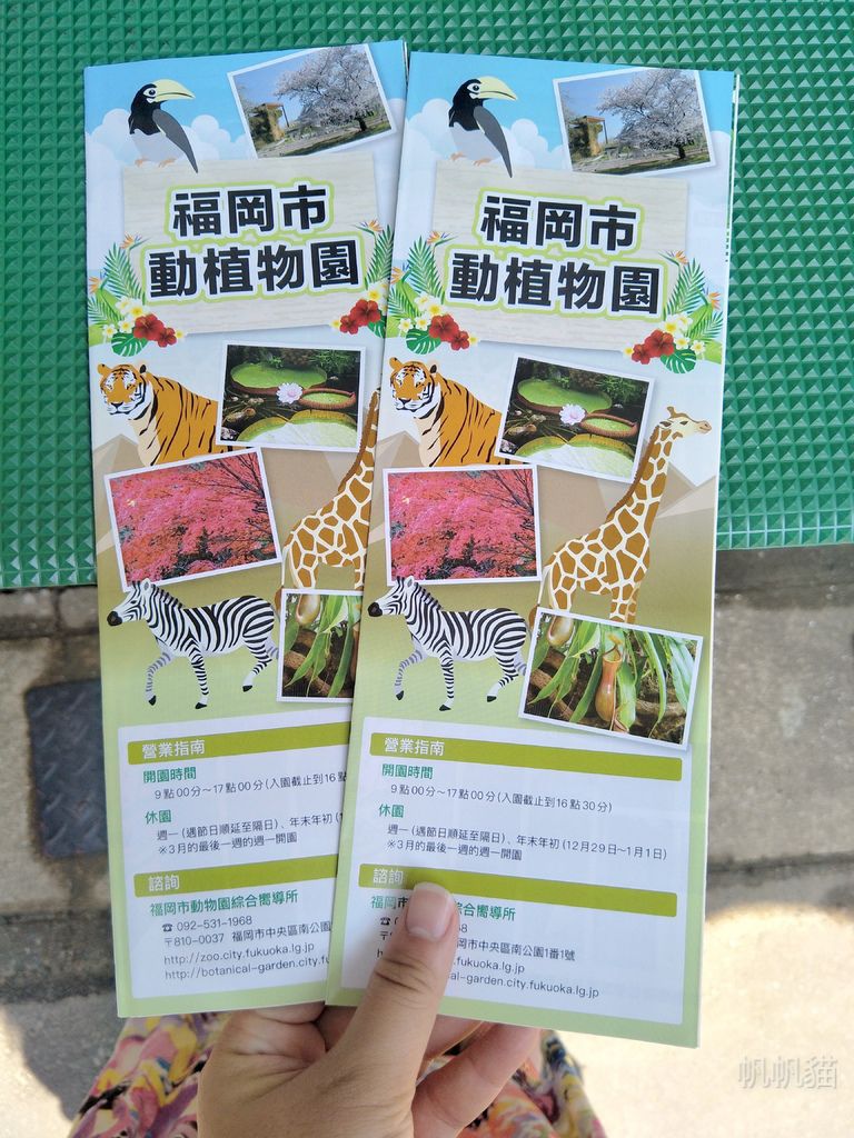 IMG20180716120238_副本 IMG20180716120238_副本