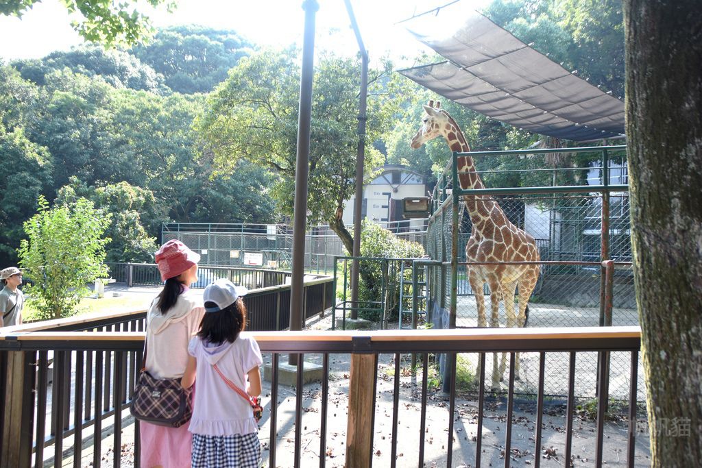 DSC_4660_副本 DSC_4660_副本
