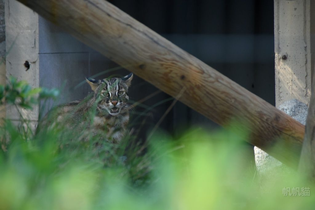DSC_4564_副本 DSC_4564_副本