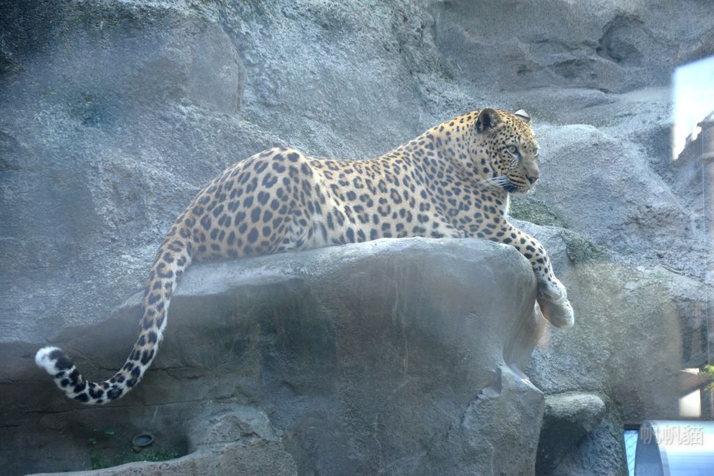 DSC_4737_副本 DSC_4737_副本